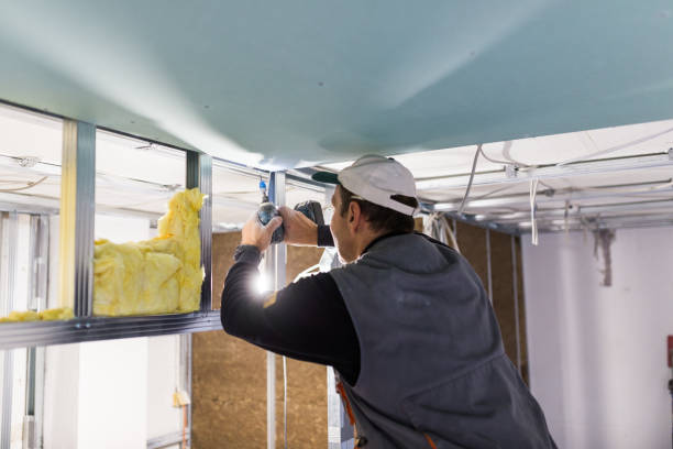 Best Crawl Space Insulation  in Wildwood, FL