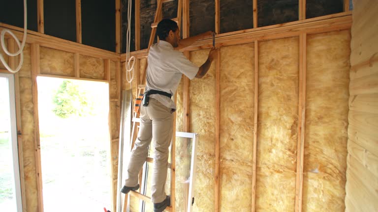 Types of Insulation We Offer in Wildwood, FL