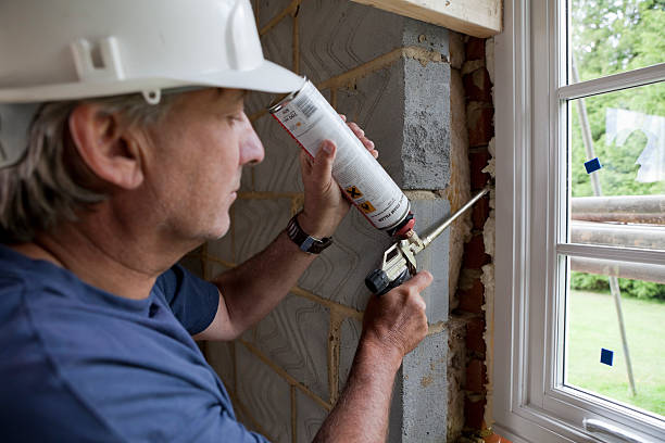 Best Insulation Air Sealing  in Wildwood, FL