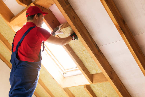 Best Attic Insulation Installation  in Wildwood, FL